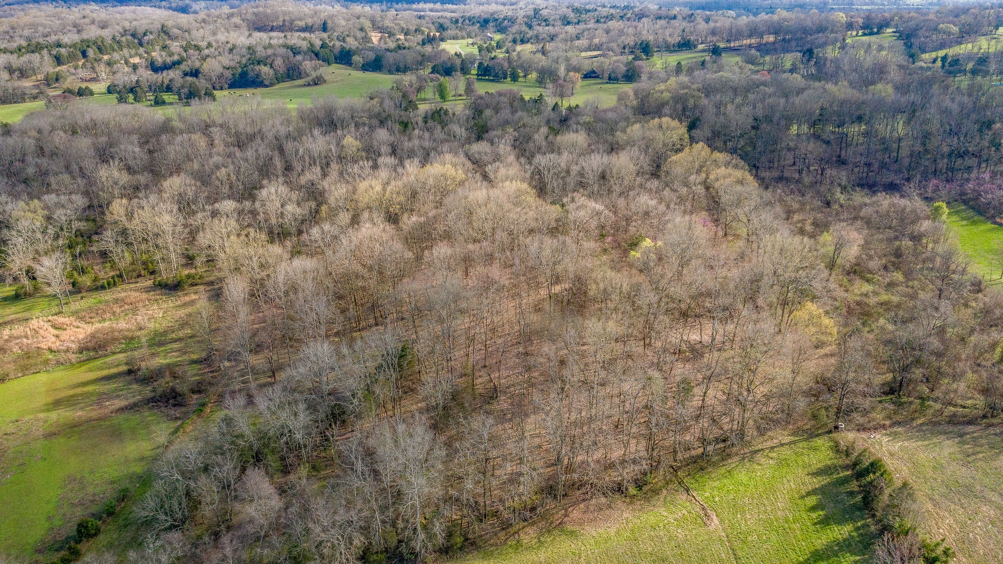 166 Preacher Robertson Road Castalian Springs, TN 37031 - Photo 21 of 26 Gallery Image 21