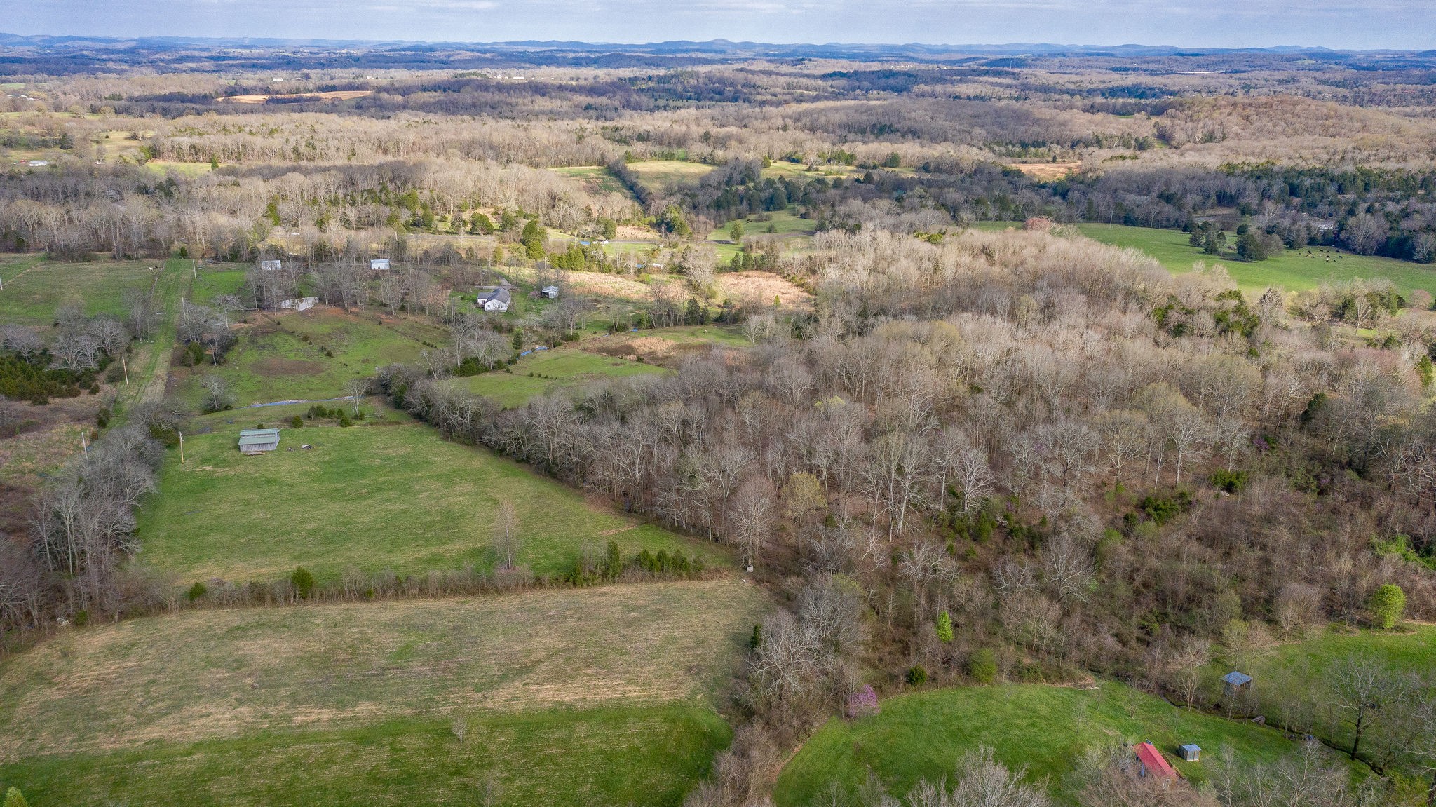 166 Preacher Robertson Road Castalian Springs, TN 37031 - Photo 10 of 26 Gallery Image 10
