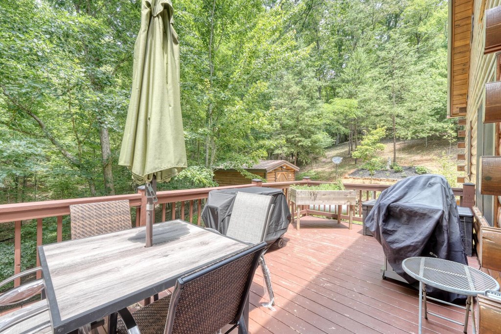 182 Majestic Way Morganton, GA 30560 - Photo 29 of 62