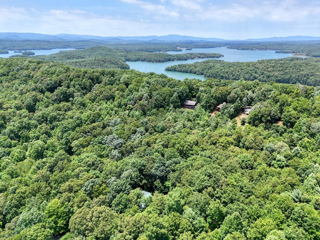 182 Majestic Way Morganton, GA 30560 - Photo 9 of 62