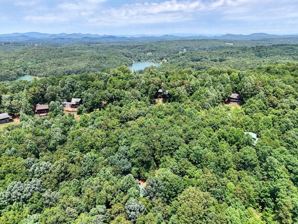 182 Majestic Way Morganton, GA 30560 - Photo 10 of 62