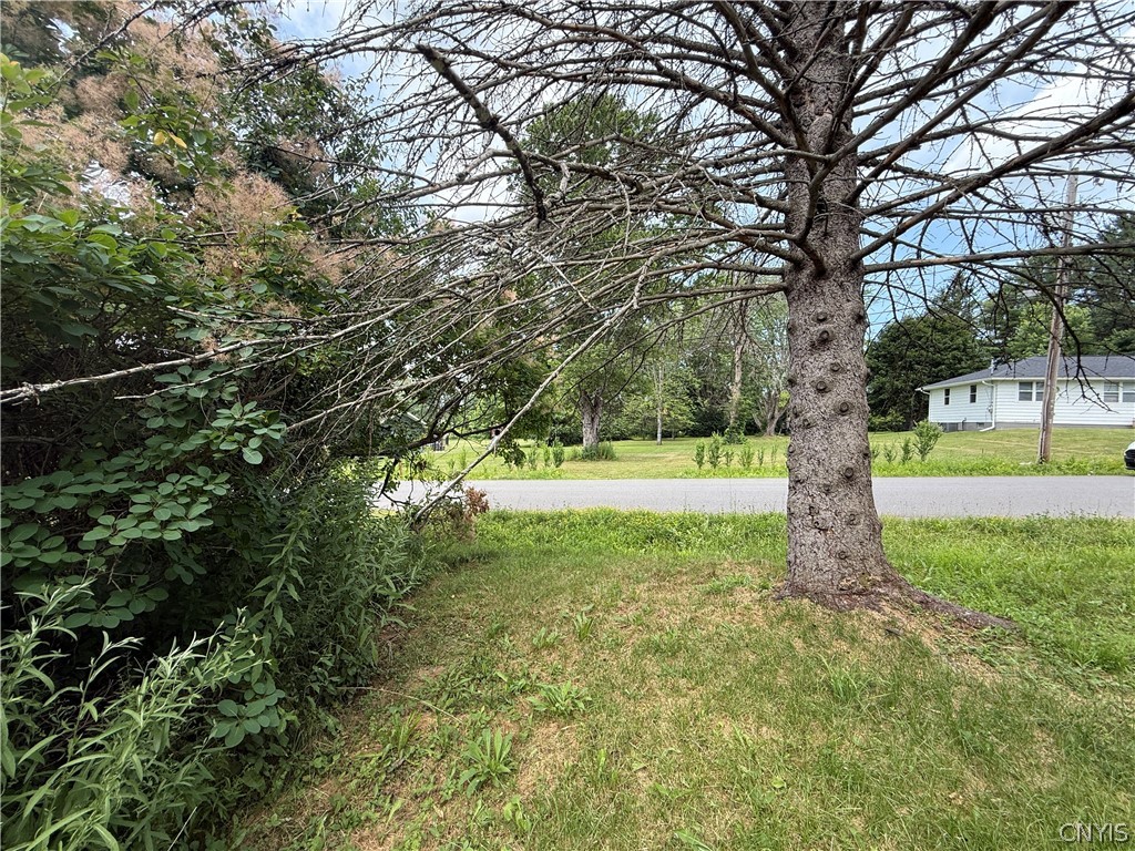 Prescott Road Deerfield, NY 13502 - Photo 6 of 15