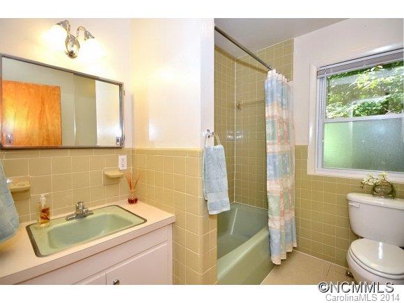 540 Robin Hood Road Brevard, NC 28712 - Photo 13 of 23 Gallery Image 13