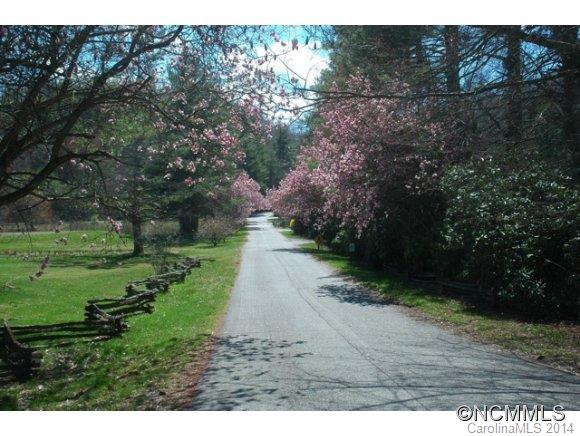 540 Robin Hood Road Brevard, NC 28712 - Photo 23 of 23 Gallery Image 23