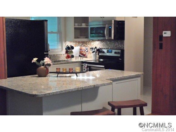 540 Robin Hood Road Brevard, NC 28712 - Photo 5 of 23 Gallery Image 5