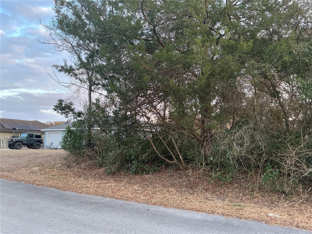 Southwest 138th Street Ocala, FL 34473 - Photo 3 of 8