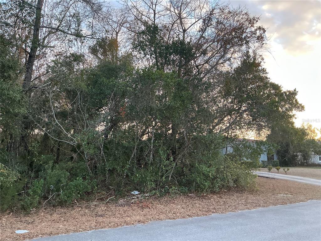 Southwest 138th Street Ocala, FL 34473 - Photo 4 of 8