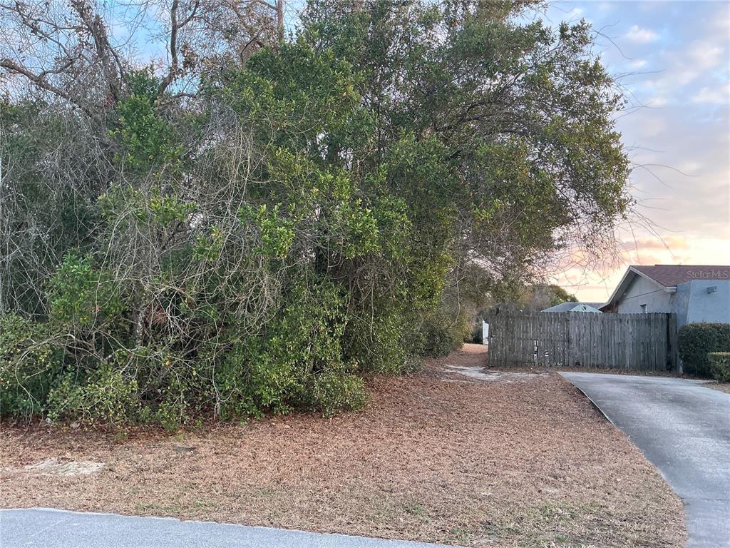 Southwest 138th Street Ocala, FL 34473 - Photo 5 of 8