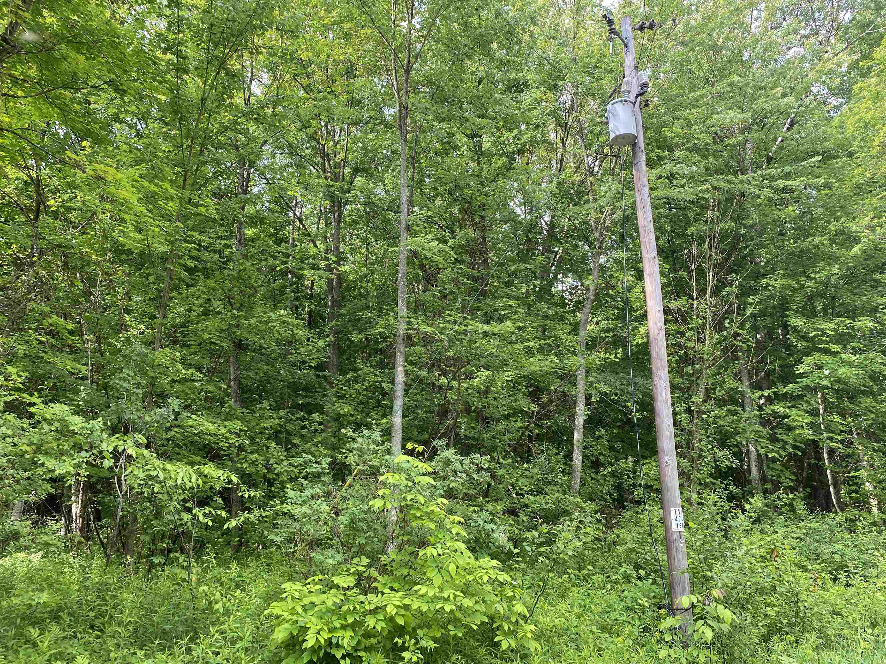 15991 Bentley Road Thompsonville, MI 49683 - Photo 8 of 19