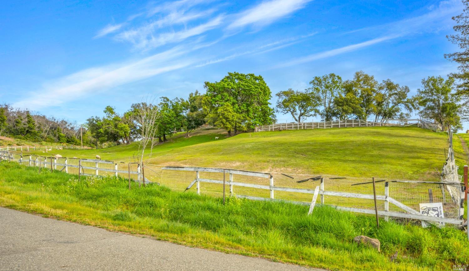 a view of an ocean and beach with a large tree