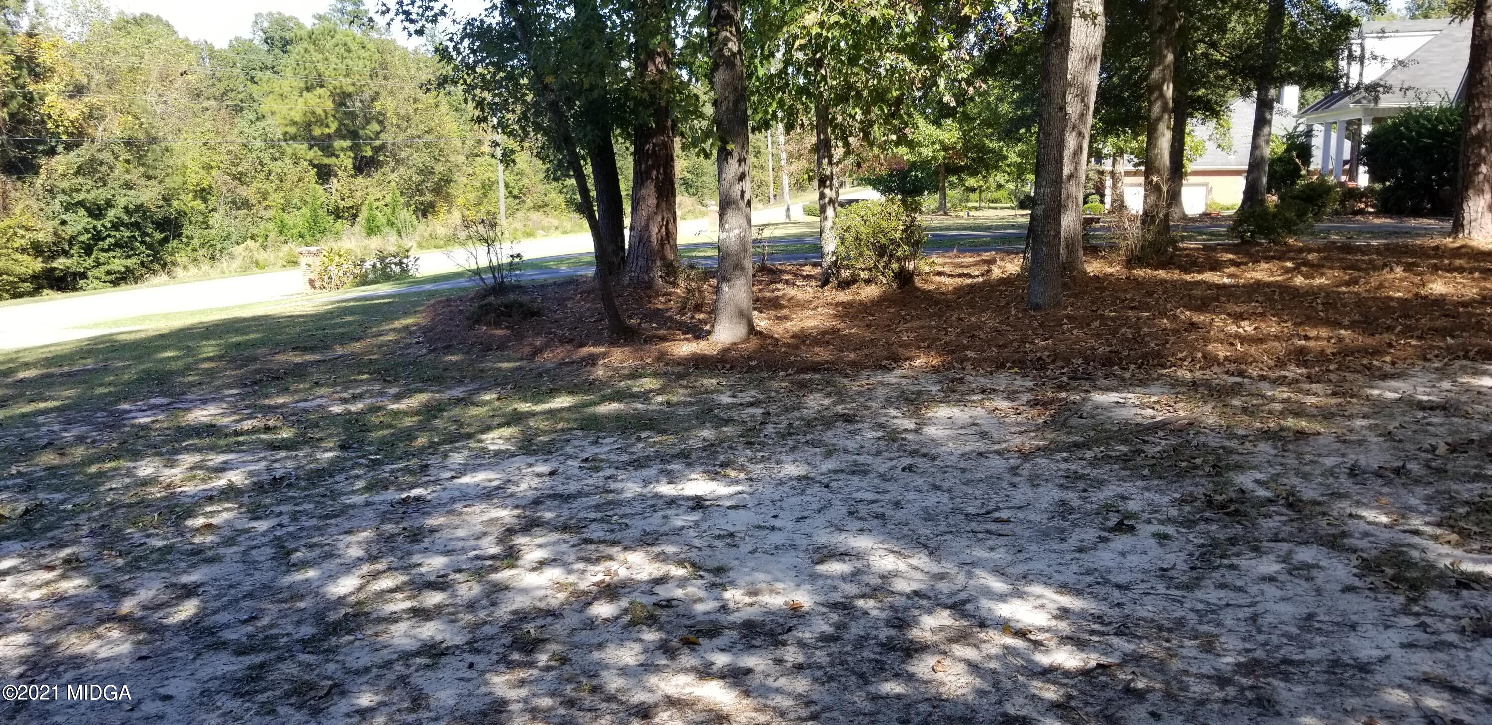 208 Gates Road Lizella, GA 31052 - Photo 3 of 55 a view of a tree in the middle of a yard