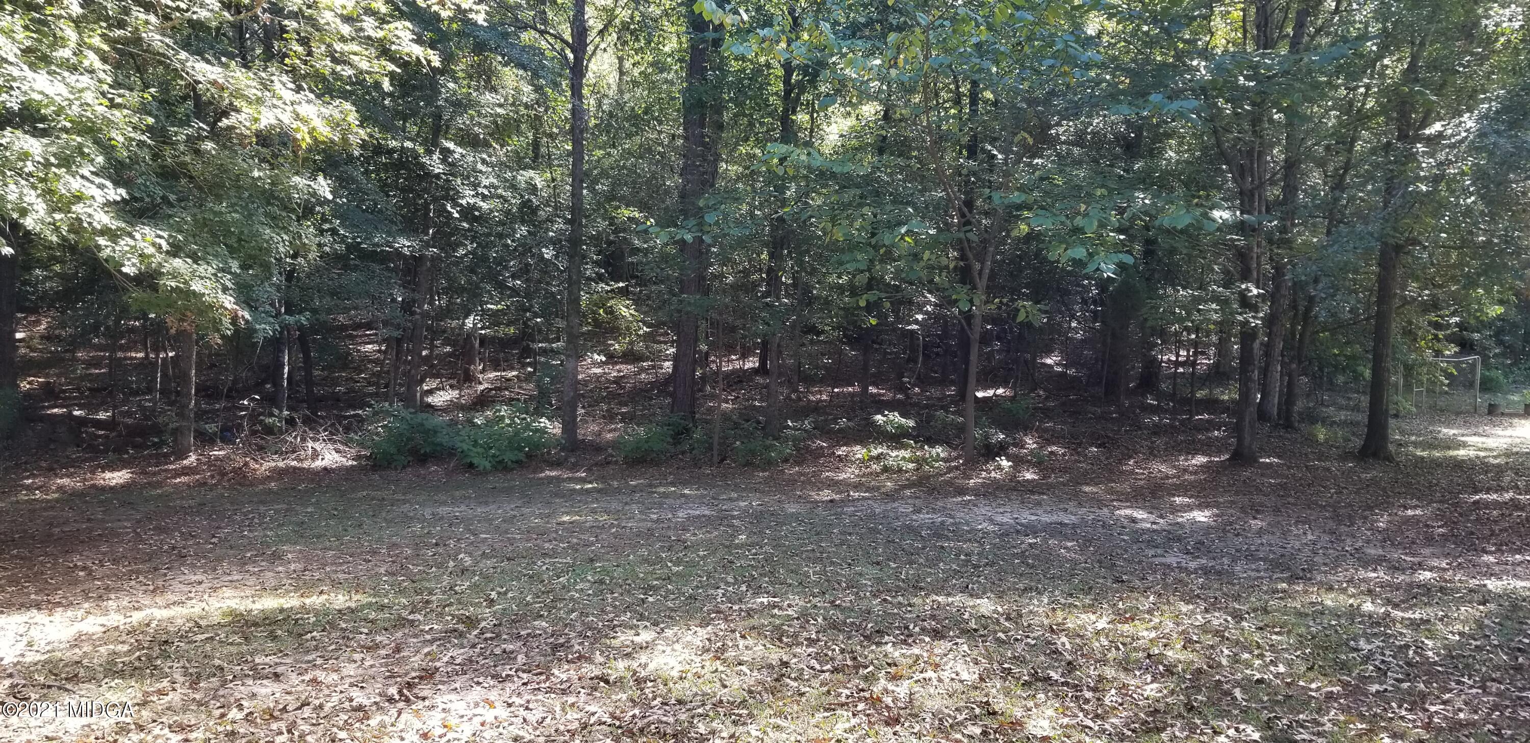 208 Gates Road Lizella, GA 31052 - Photo 49 of 55 a view of a forest with trees in the background