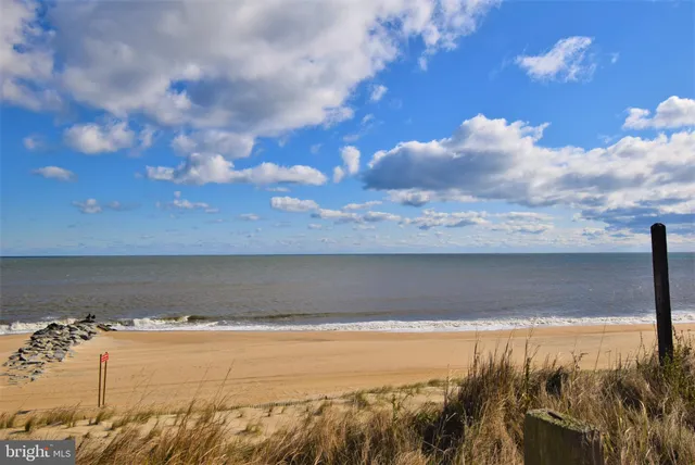 a balcony with furniture and a potted plant
