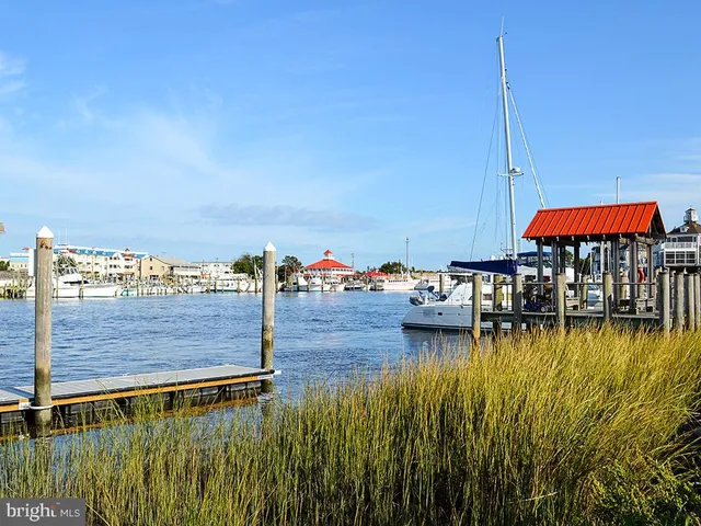 a view of an ocean and beach
