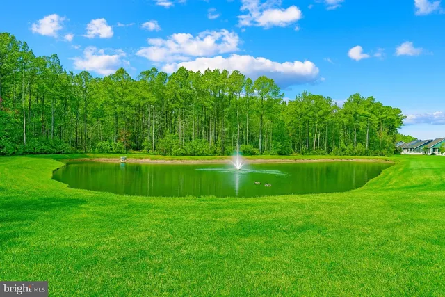 a view of a golf course with a lake
