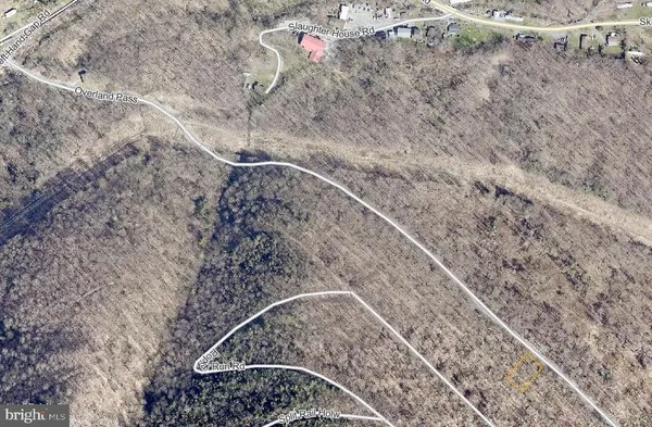 a view of a lush green forest