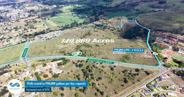 a view of a book shelf