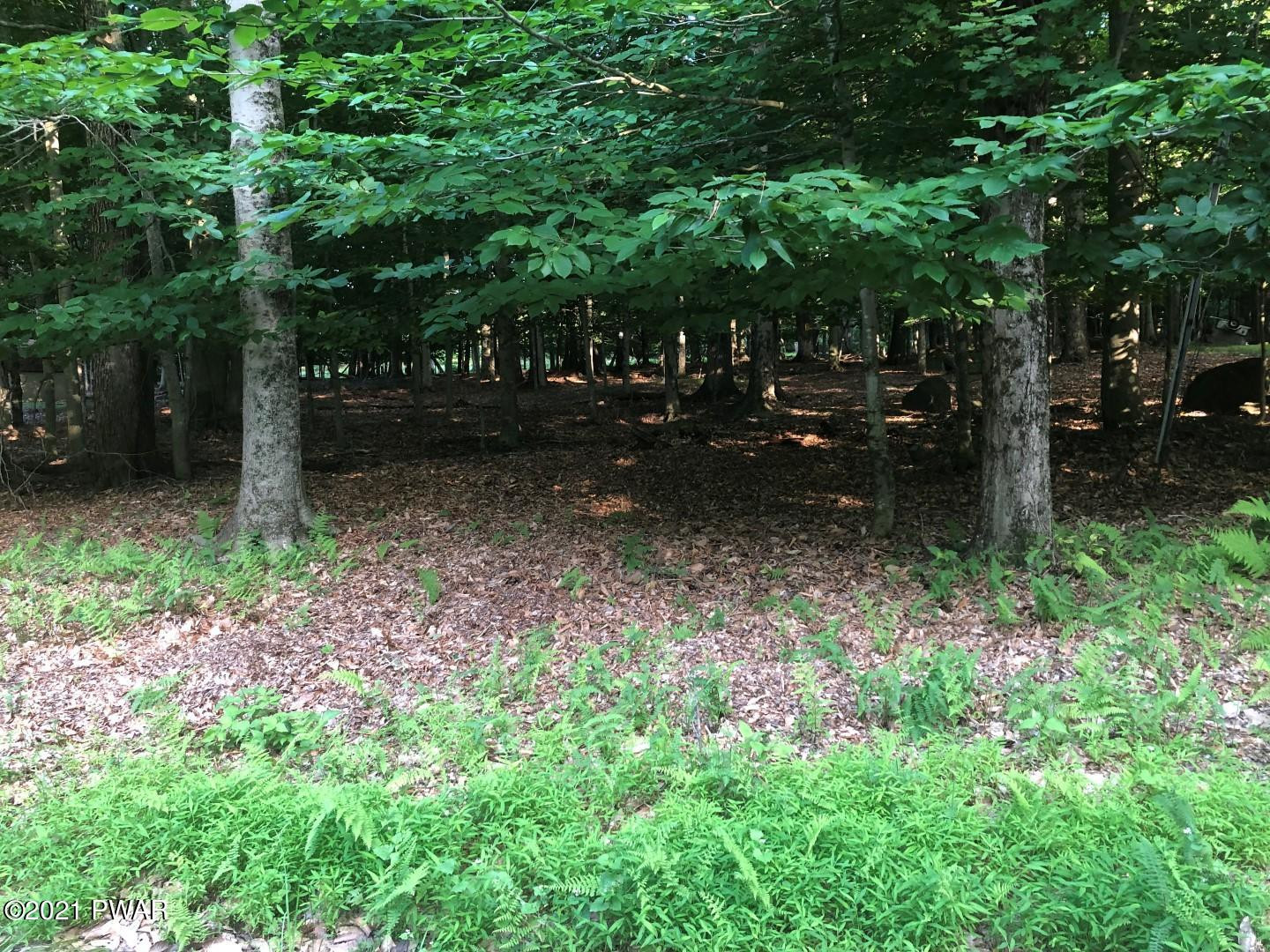 26 Deer Valley Road Lake Ariel, PA 18436 - Photo 2 of 11