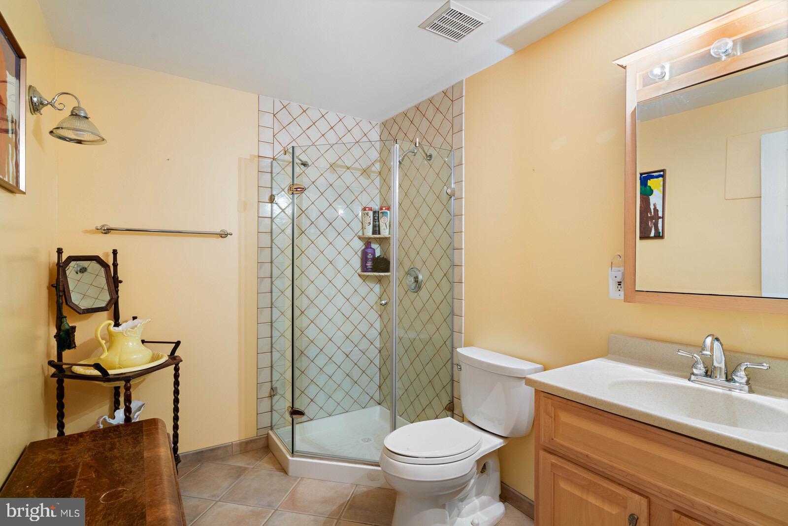 7021 Maple Tree Lane Springfield, VA 22152 - Photo 29 of 44 WALK-IN SHOWER
