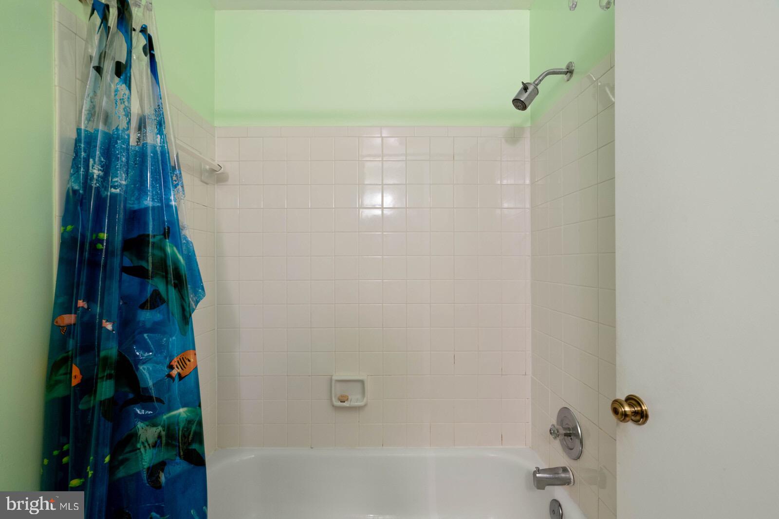 7021 Maple Tree Lane Springfield, VA 22152 - Photo 36 of 44 SHOWER