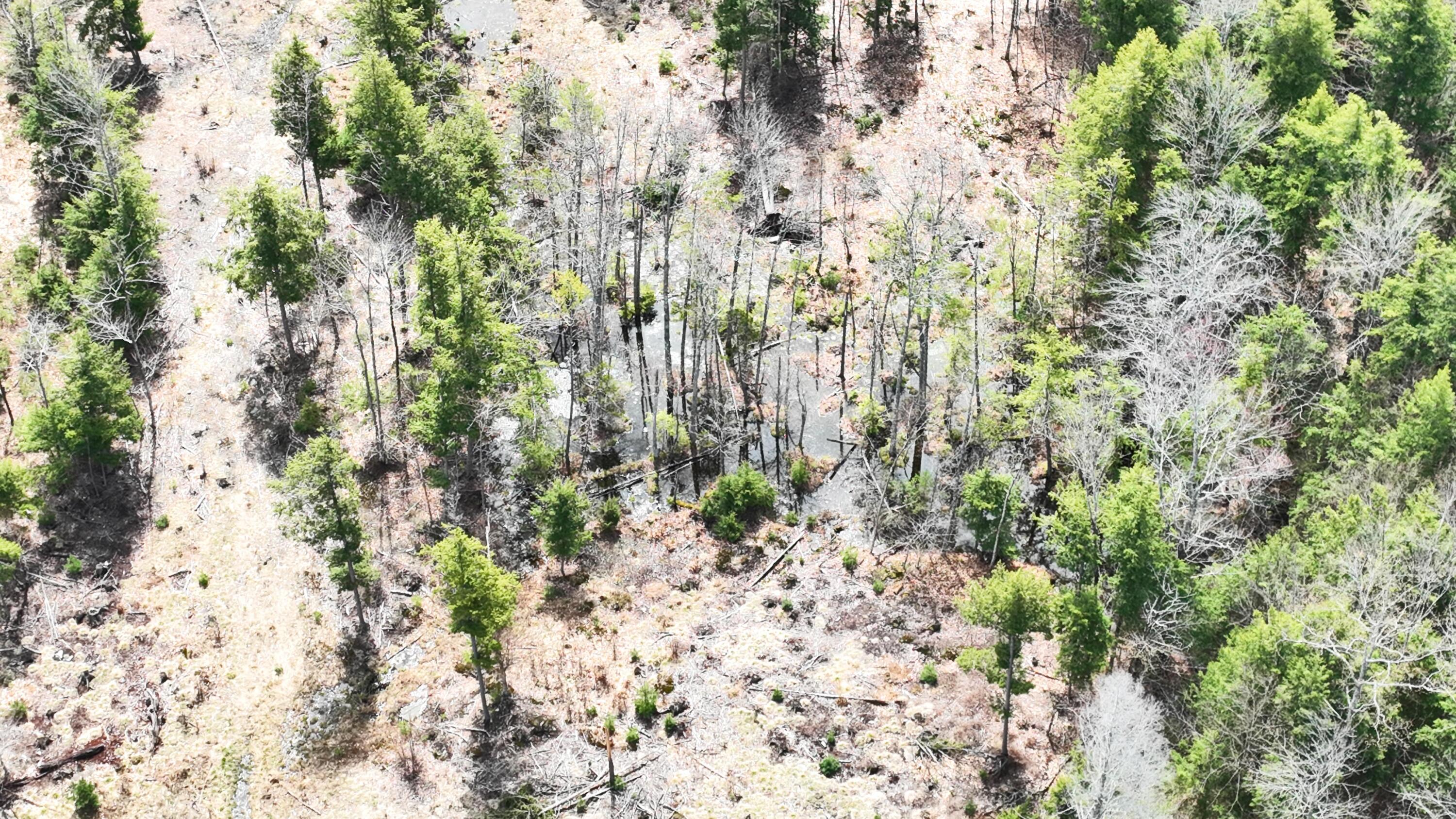 Tbd Foss Road Limerick, ME 04048 - Photo 11 of 11 dji_0629
