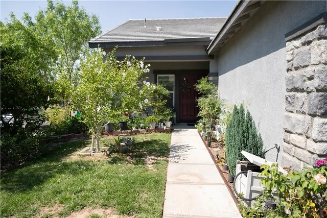 a view of a pathway with flower plants