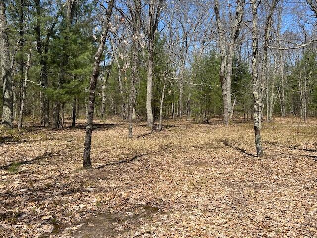 Vl East Roosevelt Road Montague, MI 49437 - Photo 13 of 30