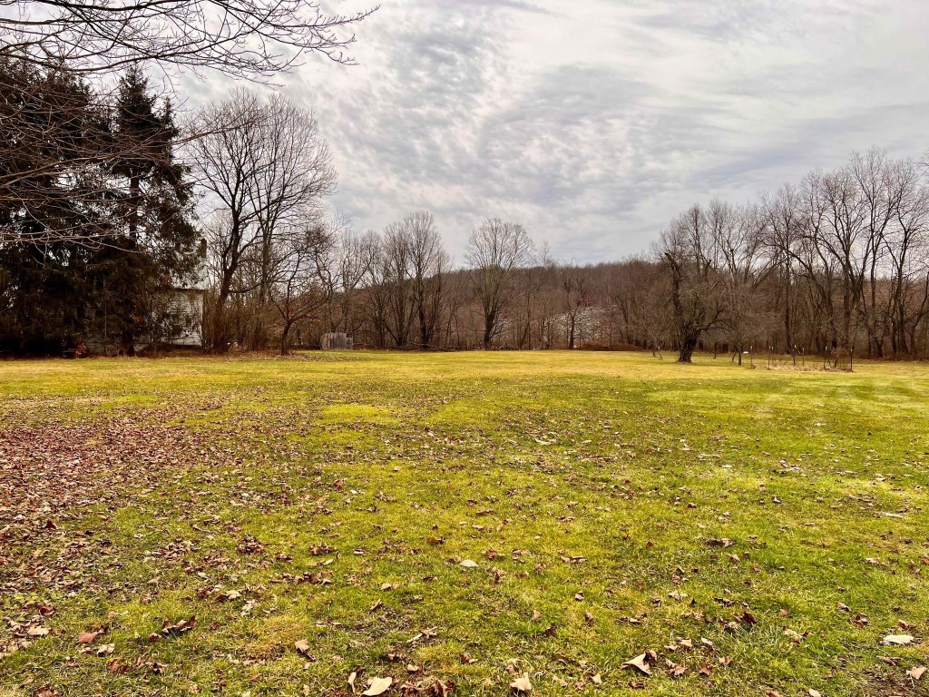 117 Fiddle Lake Road Thompson, PA 18465 - Photo 24 of 30 Gallery Image 24