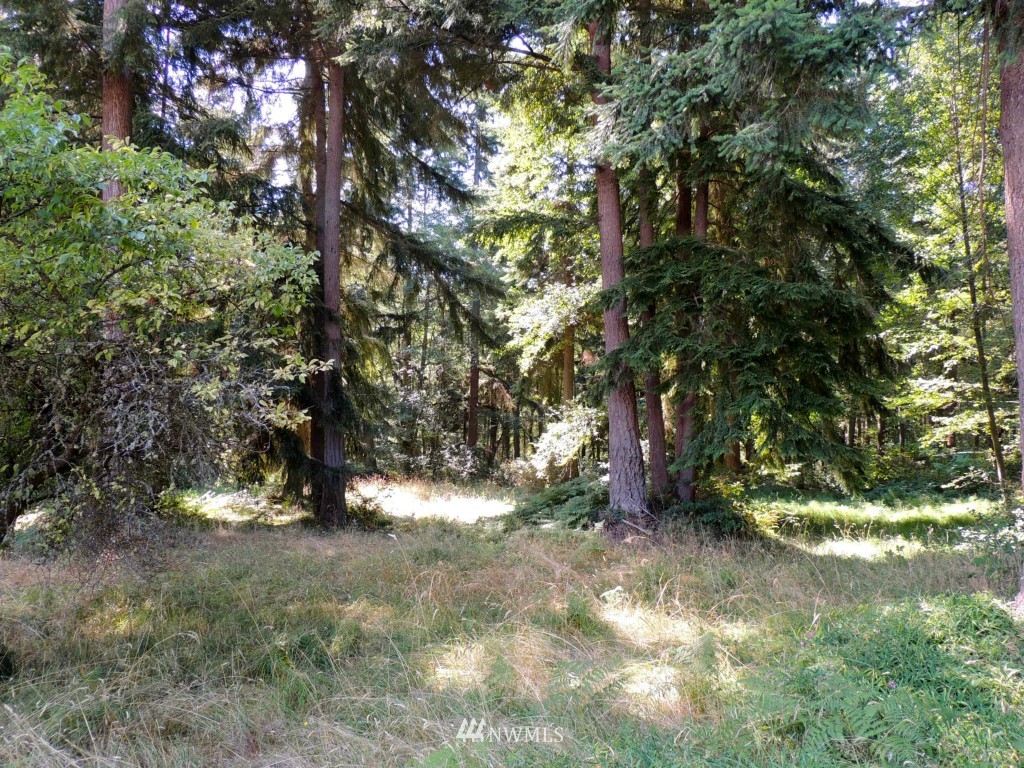 7230 Cultus Bay Road Clinton, WA 98236 - Photo 17 of 25 Gallery Image 17