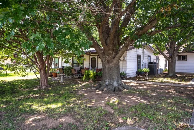 a tree in the middle of a yard