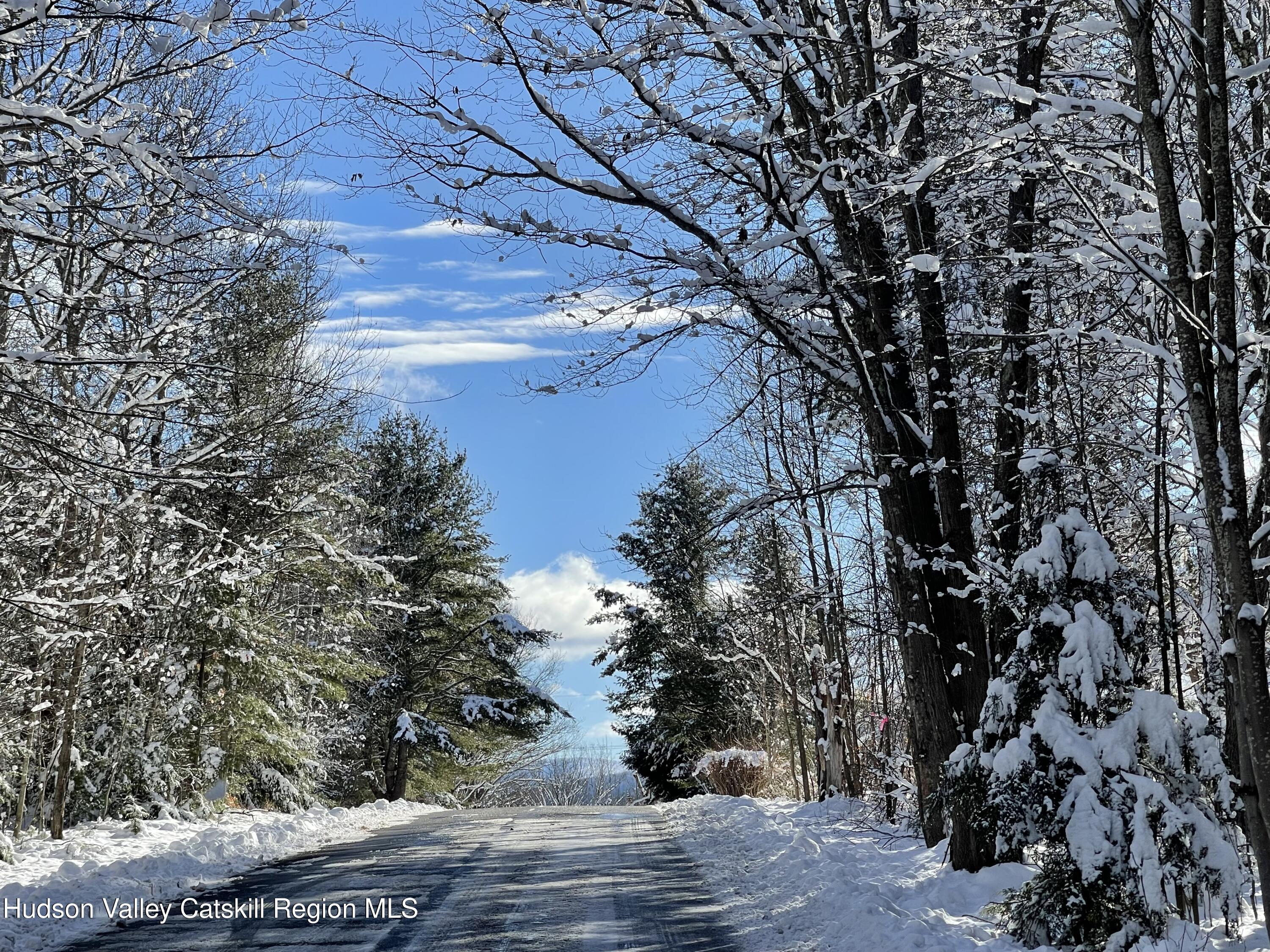 497 Campbell Road Ashland, NY 12496 - Photo 2 of 11 a view of a tree with a yard