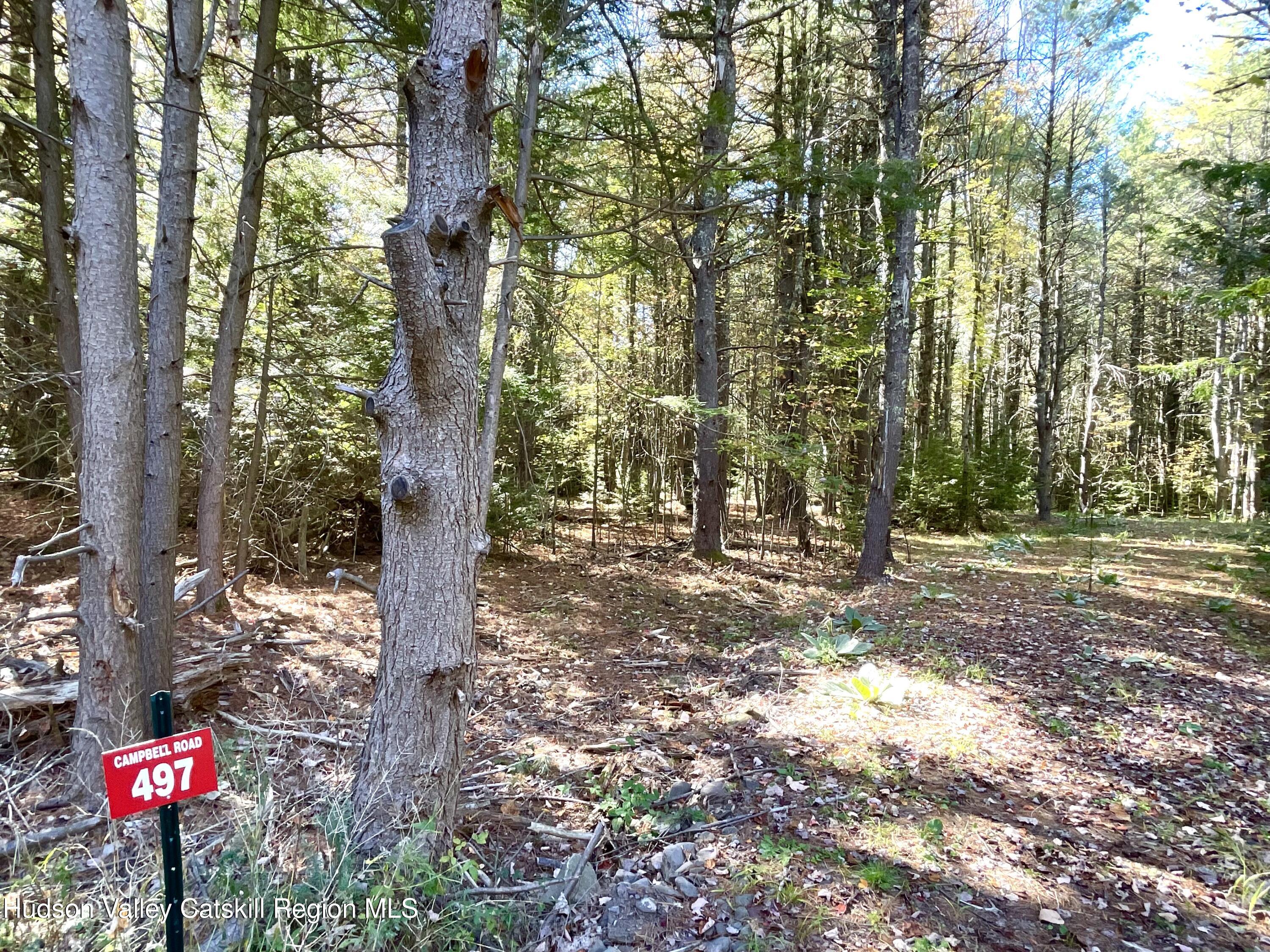 497 Campbell Road Ashland, NY 12496 - Photo 6 of 11 a flag is sitting in the middle of forest