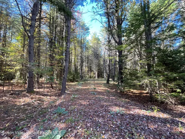 a view of outdoor space and trees
