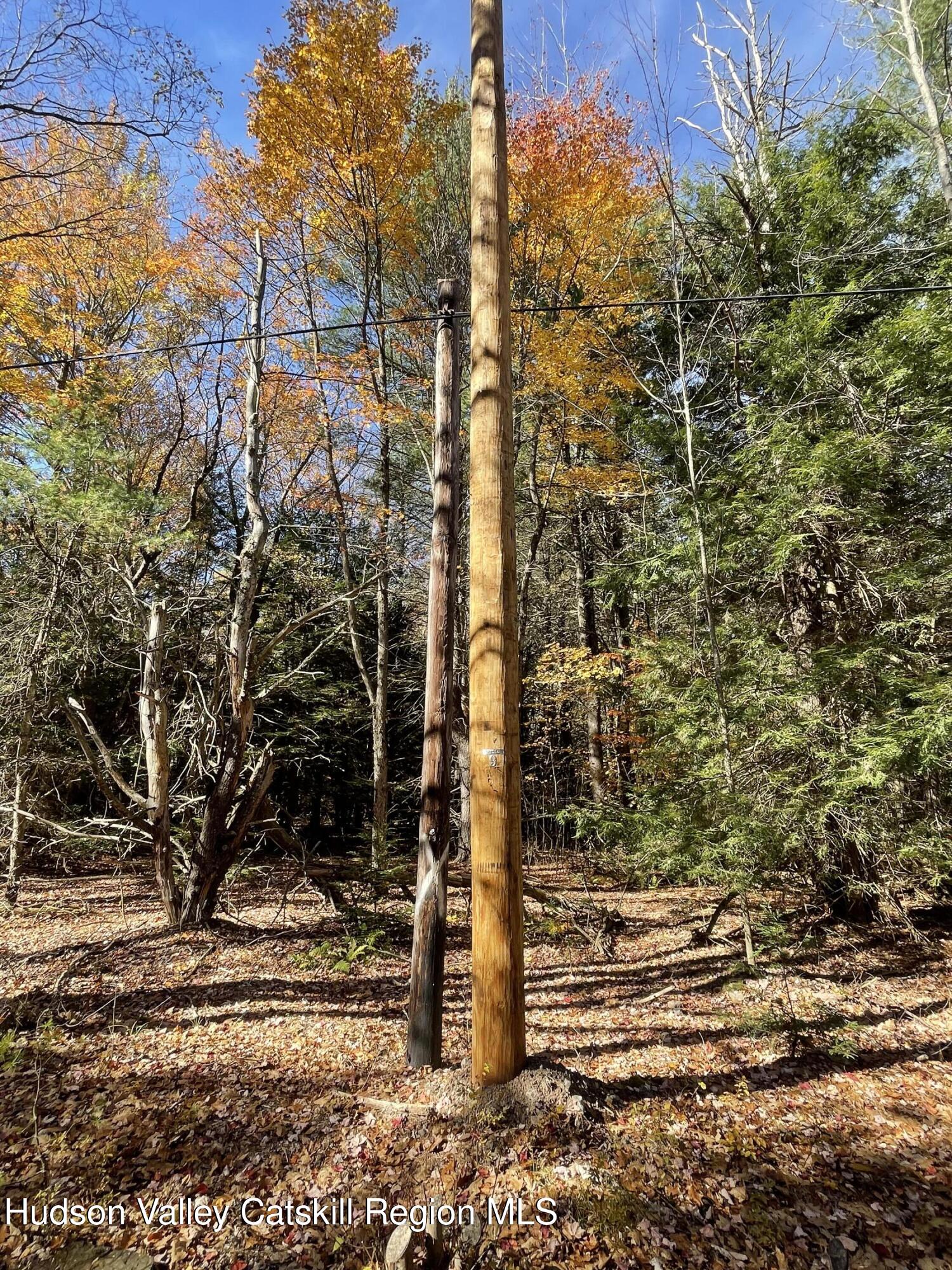 497 Campbell Road Ashland, NY 12496 - Photo 7 of 9 a view of a pathway both side of building