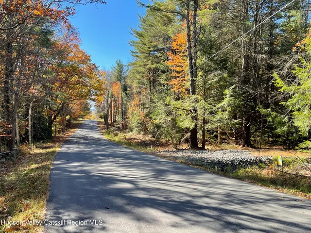 a view of a city with tall trees