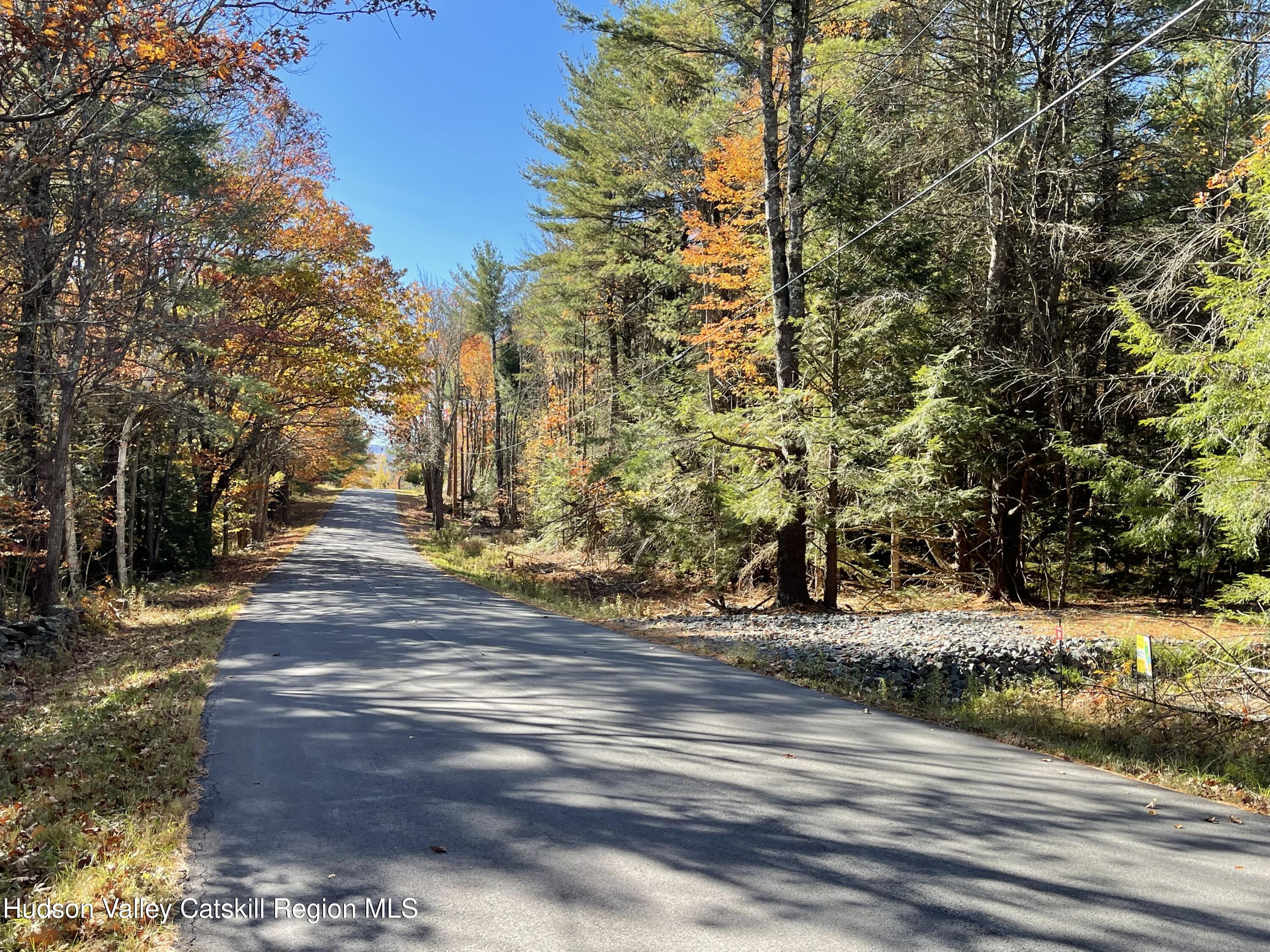 497 Campbell Road Ashland, NY 12496 - Photo 8 of 9 a view of a city with tall trees