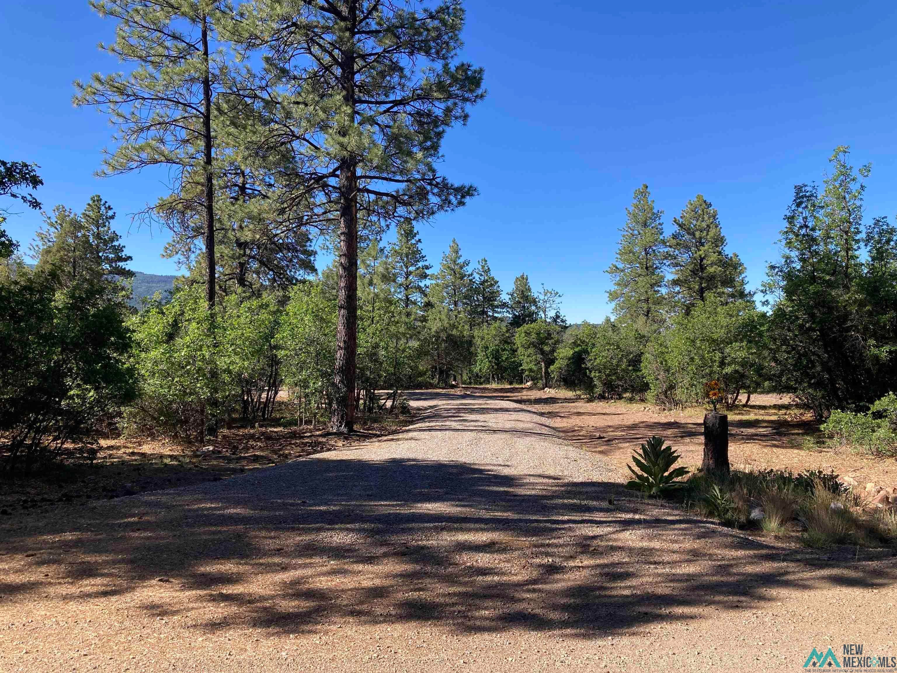 69 The Road Chama, NM 87520 - Photo 2 of 25 Gallery Image 2