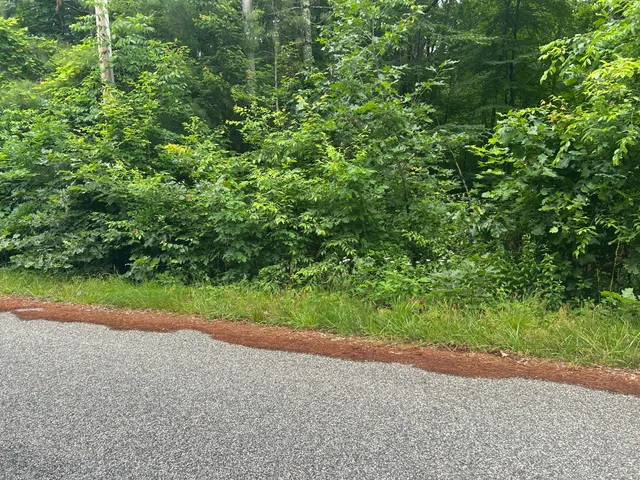 a view of a yard with a plants and trees