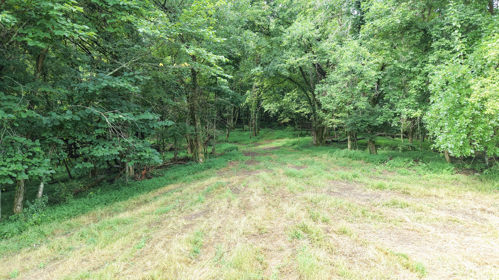 0 Barrett Road Watertown, TN 37184 - Photo 11 of 40 Gallery Image 11