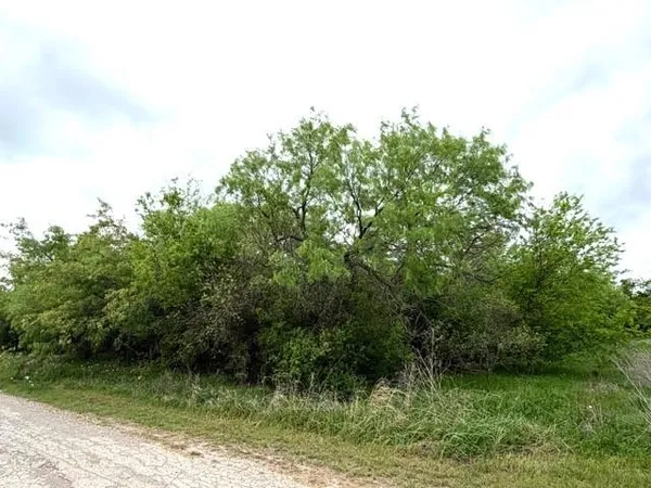 $23,000 | Tbd McAlister Street, Mingus, TX 76463