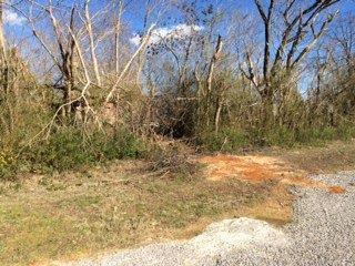 1 Wisdom Dock Road Albany, KY 42602 - Photo 1 of 7 Primary Photo