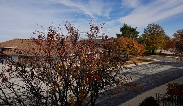 $294,500 | 10937 California Court, Orland Park, IL 60467