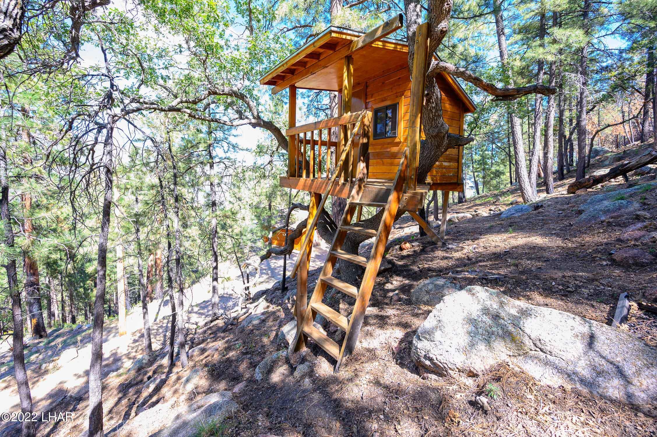 6712 Flag Mine Road Kingman, AZ 86401 - Photo 4 of 72 The infamous Tree House.