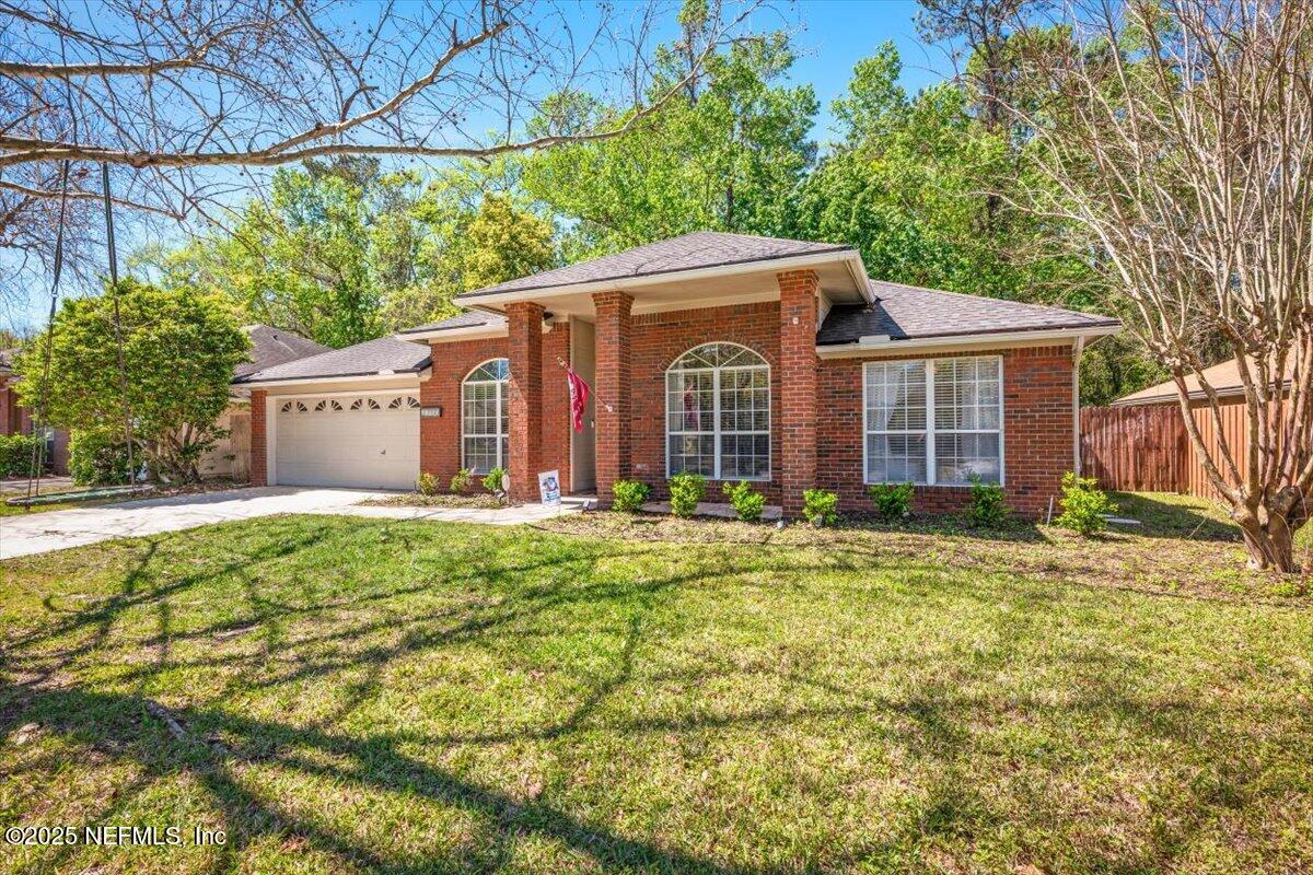 11902 Swooping Willow