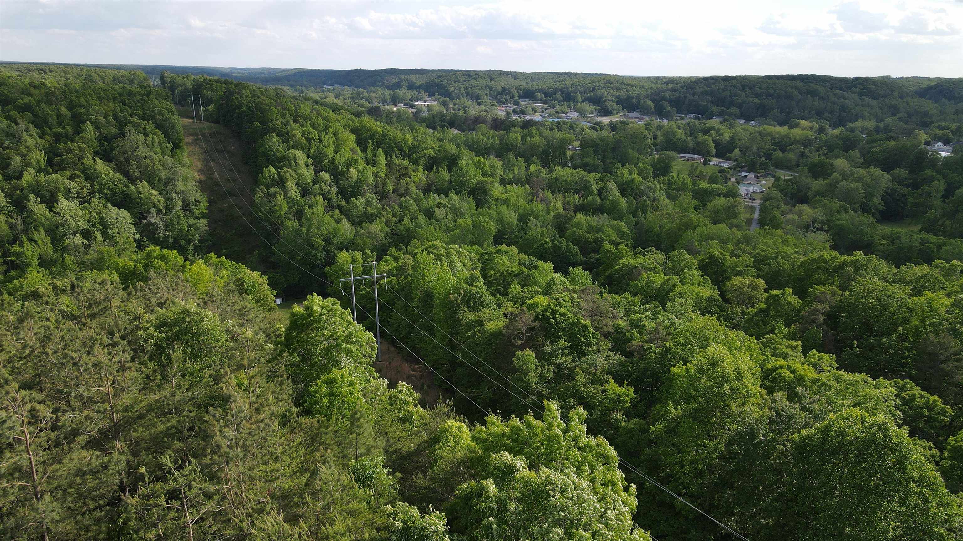 77 Carroll Hollow Road Waynesboro, TN 38485 - Photo 35 of 39 view of a lush green forest with trees in the background