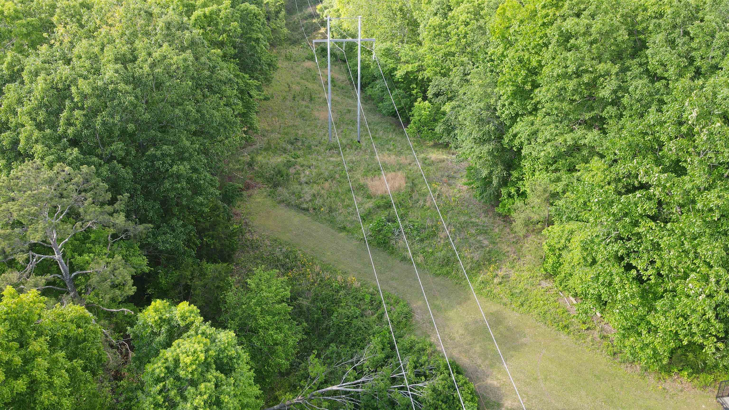 77 Carroll Hollow Road Waynesboro, TN 38485 - Photo 36 of 39 a view of a garden