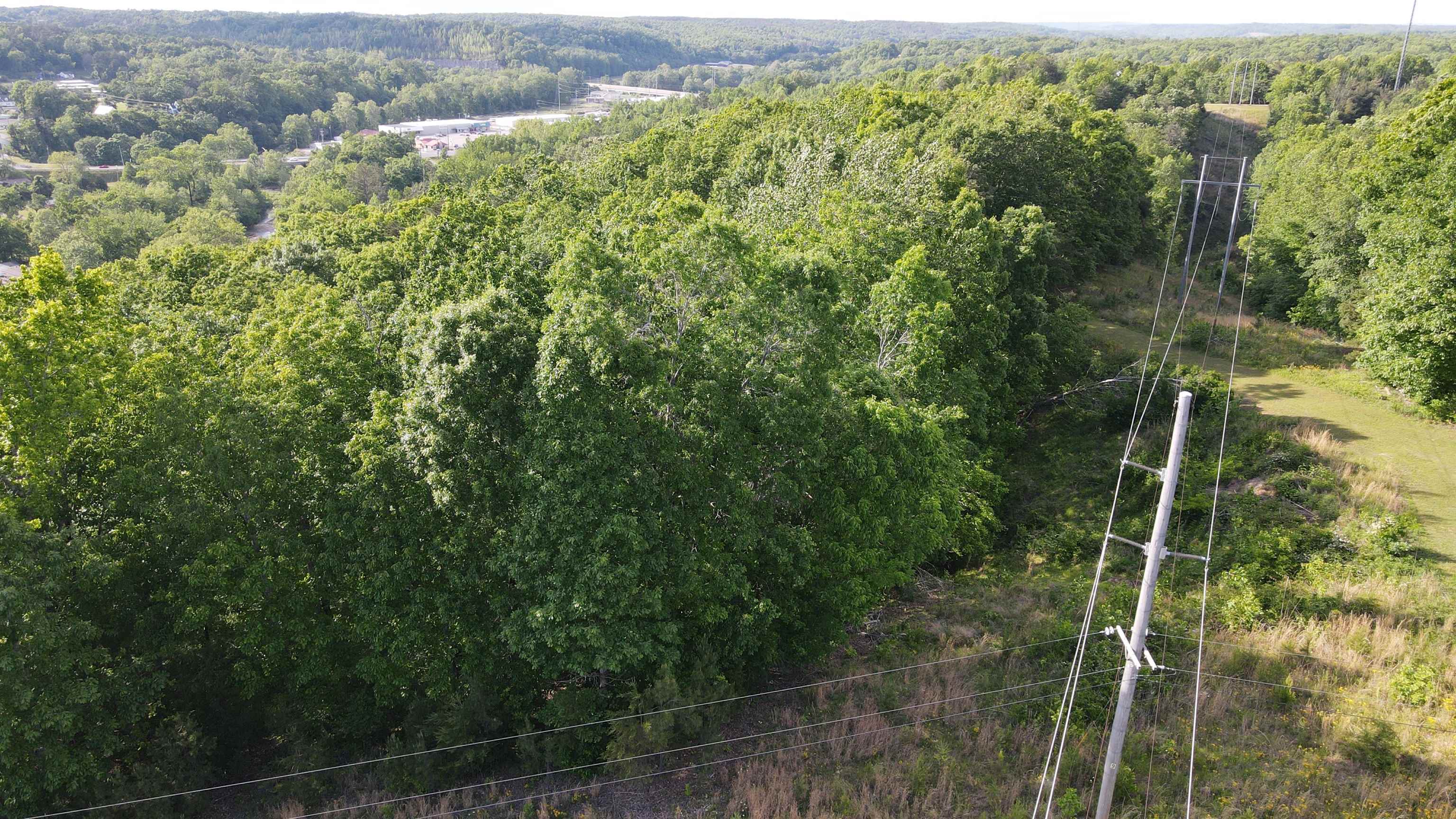 77 Carroll Hollow Road Waynesboro, TN 38485 - Photo 38 of 39 view of a forest from a bathroom