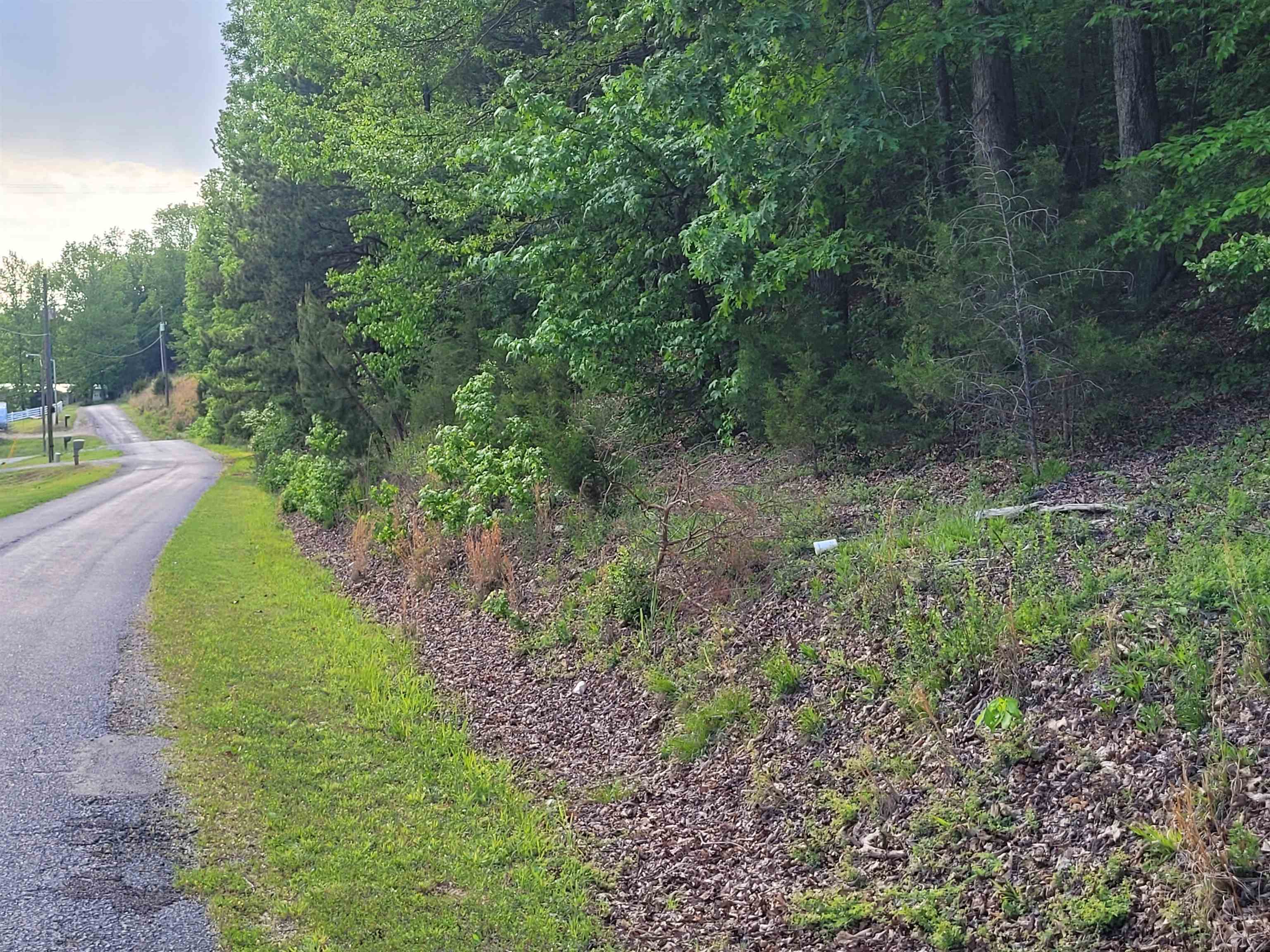 77 Carroll Hollow Road Waynesboro, TN 38485 - Photo 7 of 39 a view of a yard with large trees