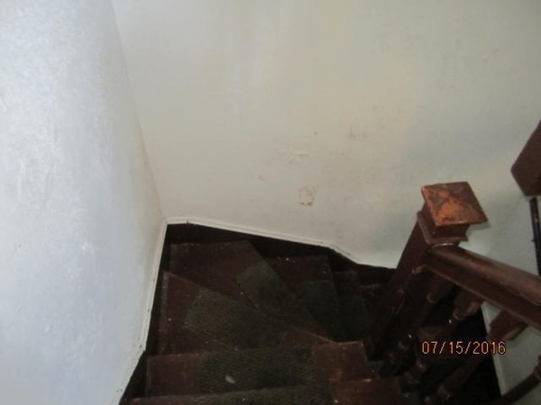 44 Ridgewood Street, Unit 2 Boston, MA 02122 - Photo 22 of 30 Gallery Image 22