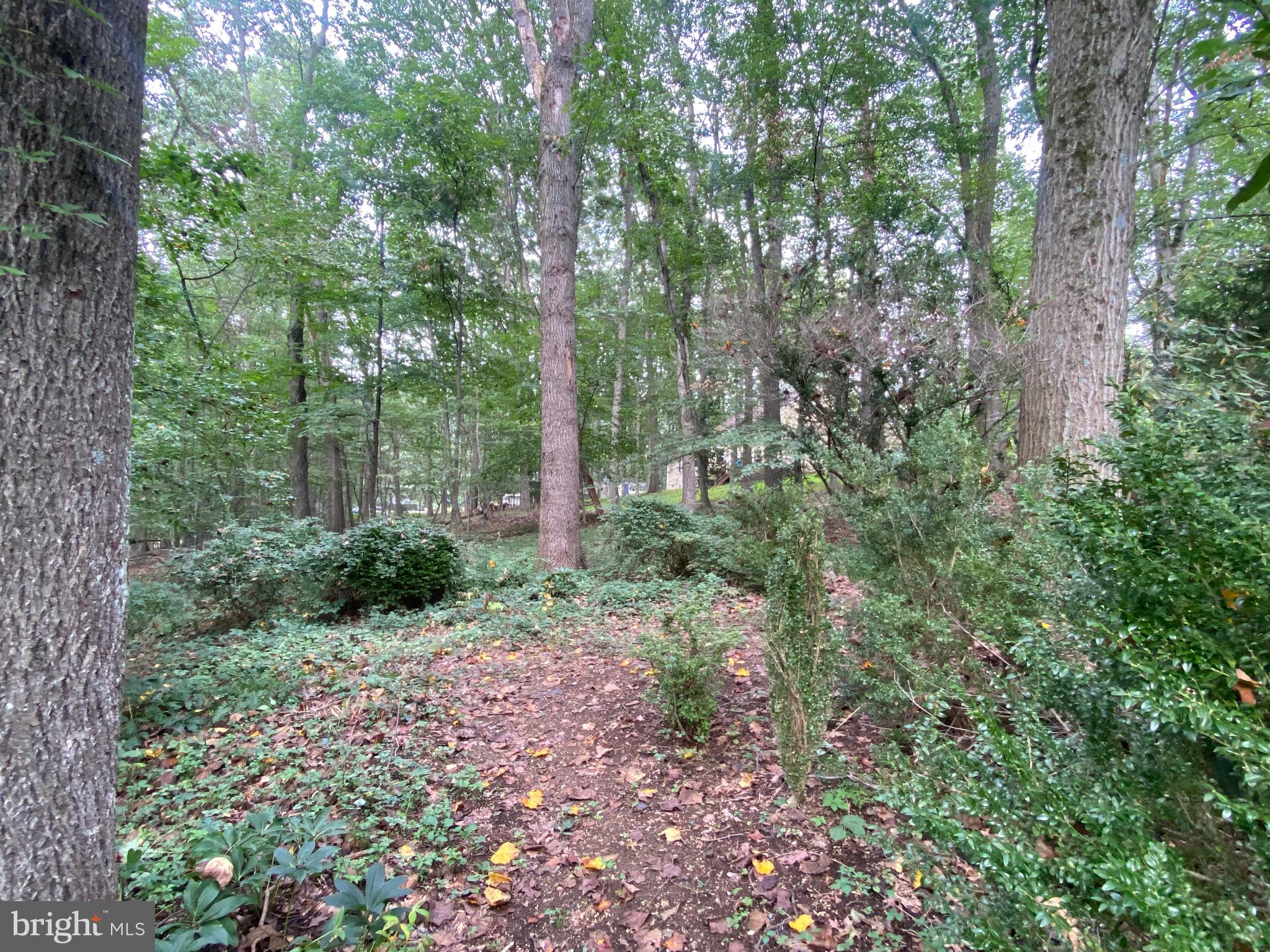 3015 Yorkshire Road Doylestown, PA 18902 - Photo 10 of 63